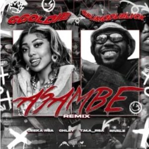 Ggoldie & ODUMODUBLVCK – Asambe Remix ft. Chley, Ceeka RSA, T.M.A_Rsa & RIVALZ