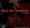 Toxic Soul & Angie West - Dali Wa Tsamaya ft Musa De Guitarist & Legit Folks MusiQ