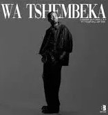 Cooper SA & Small S.P – Wa Tshembeka Ft Tyler ICU & Jay Sax