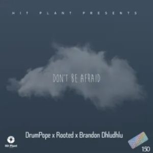 DrumPope, Rooted & Brandon Dhludhlu – Don’t Be Afraid