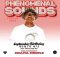 Soulful Disciple - Phenomenal Sounds #004 Amapholas Edition (100%Production Mix)