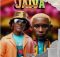 Thama Tee & Cowboii - Jaiva (feat. Al xapo, Xduppy & Lolli Pop)