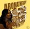 Chocolate City - Aromatherapy ft. Young Jonn, TAR1Q, Noon Dave & Major AJ