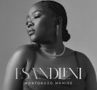 Nontokozo Mkhize - Esandleni