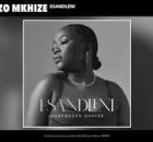 Nontokozo Mkhize - Esandleni