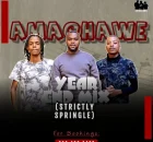 AmaQhawe - 2024 Year End Mix (Strictly Springle)