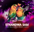 2point1 – Sthandwa Sam Ft BelloM, Epic DJ, Seneath & X-Morizo